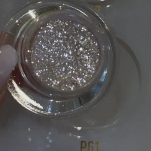 P61